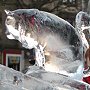 Ice sculpture by Sand in your Eyes featuring Hamish the cat, St Andrews, Scotland