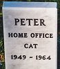Peter the Home Office cat's new headstone at the Ilford PDSA cemetery, 2007