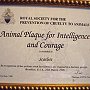RSPCA certificate for bravery, 1996