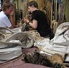 Ship's cat Chibley helping crew member, 2008