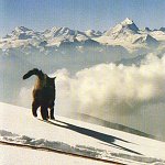 Tomba on the Rinderhorn, Valais, Switzerland, 1989