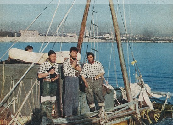 Kittens Puce and Guiton held by the crew of the raft L'Egare II at Falmouth, 1956