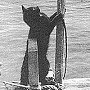 Kittens Puce and Guiton playing on the mast of L'Egare II