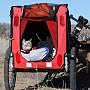 Travelling Pikachu in his buggy, 2012