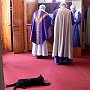 Jeoffry the cat - Church of the Advent, Boston, Mass.