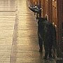 Church cat Jeoffry at an annual meeting - Church of the Advent, Boston, Massachusetts