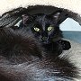 Marty in his bed - Mt Washington Observatory