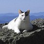 Nin on the summit - Mt Washington Observatory, NH