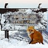 Summit fox, Mount Washington - MW0bs image