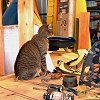 Bob inspecting work - American Aero, FL