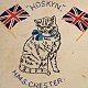 Hoskyn of HMS Chester, embroidered on a cushion, ca 1916