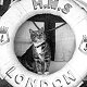 Chief Baker's cat, HMS London