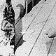 Monty, ship's cat of HMS Poppy, 1944