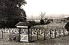 The PDSA Animal Cemetery at Ilford when it was first opened, ca 1949