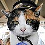 Tama of the Wakayama Electric Railway Company, Japan