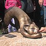 Sculpture of the Independent Cat, Warsaw, Poland, by Bogna Czechowska