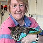 Mog the cat from Lostwithiel, with owner Veronica Ashworth