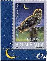 Romanian owl, 2003