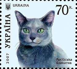 Russian Blue cat, Ukraine, 2007