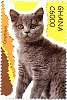 Chartreux from Ghana set of 4, 2007