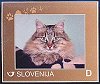 Slovenia: one of the cats from set of 16 pets, May 2013