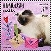 Croatia, Jan 2018: Himalayan cat writing letter from Cat's World set