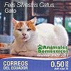 Ecuador, May 2018: domestic cat from booklet set of 8