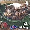 Jersey, May 2018: cat stamp from Jersey SPCA set of 8