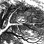 The Cheshire Cat fades away, leaving only his grin - from Alice's Adventures in Wonderland
