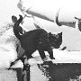 Black kitten (unnamed, but possibly Night) on the steam yacht Morning, ca 1902