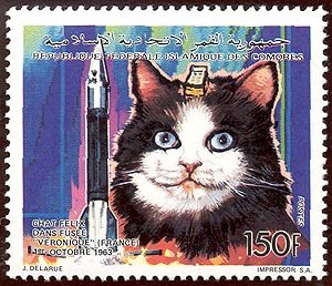1992 postage stamp issued by the Comoro Islands, from a set depicting space animals, with Felicette incorrectly named as Felix