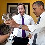 Larry the Downing Street cat has a stroke from President Barack Obama, Downing Street, 25 May 2011