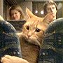 Bob the cat on a bus in 2009