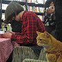 Book signing for A Street Cat Named Bob at Waterstones, Islington Green, Mar 2012