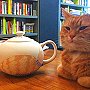 Street Cat Bob with a teapot which was auctioned in aid of the Blue Cross animal charity, May 2013