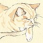 Barley the Highland Park distillery cat, as drawn by artist Jane Gardiner