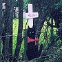 Roadside tributes to Rastus, Max Corkill and Gaynor Martin at the scene of the accident