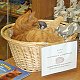 Louis the cat in the cathedral shop, Wells, Somerset