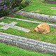 Louis the cat, Wells Cathedral, Somerset