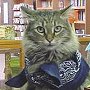 Library cat Miss Whispurr, Bradford Area Public Library, Bradford, Pennsylvania