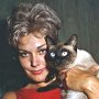 Pyewacket the cat in the movie Bell Book and Candle, 1958