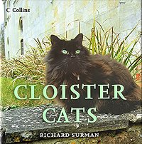 Cloister Cats, by Richard Surman