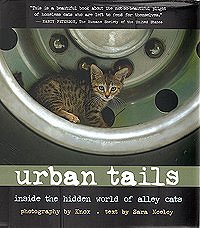 Urban Tails: photography Knox, text SaraNeeley