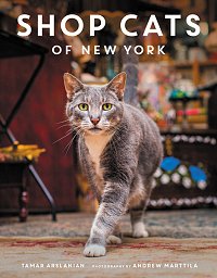 Shop Cats of New York, by Tamar Arslanian, photos by Andrew Marttila