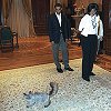 Dorofei the cat greets Barack and Michelle Obama, July 2009