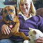Bobbi the dog and Bob Cat with Melinda Golis in their new home in Oregon