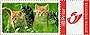 Kittens from Belgium on Duostamps label, 2005